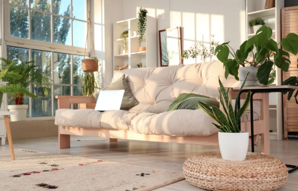 (Фото) Кралици на издржливоста: растенија кои успеваат дури и ако заборавите на нив