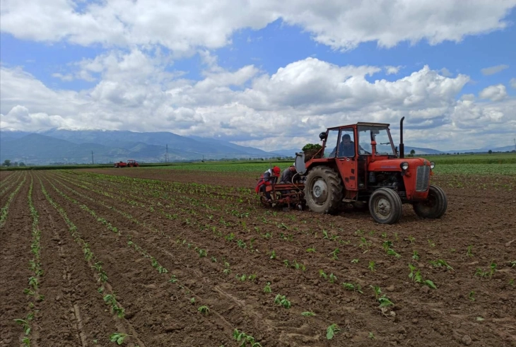 Државата ќе ги заострува критериумите за добивање субвенции, најави министерот за земјоделство